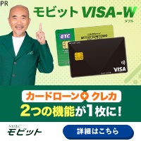 モビット VISA-W